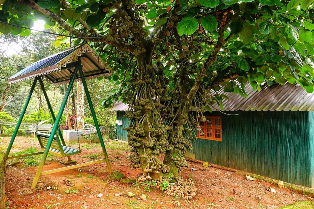 Hill Valley Farm House Nelliyampathy Dış mekan fotoğraf
